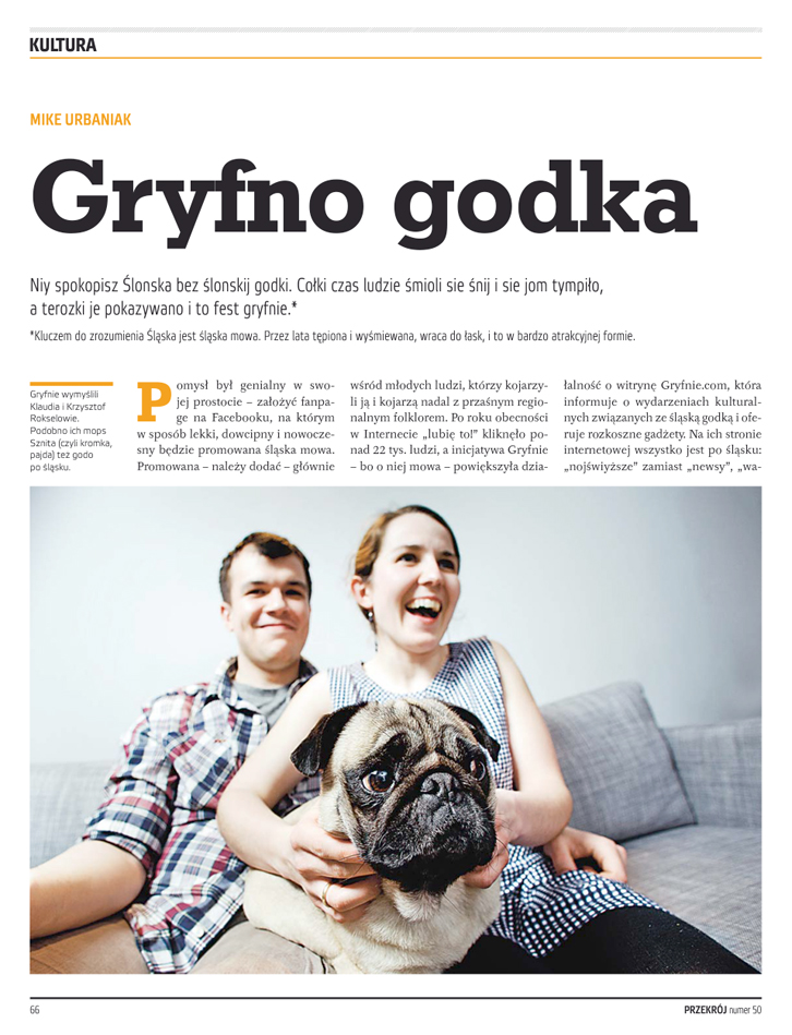 gryfno-godka-przekrój-1