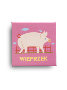 Magnes Wieprzek