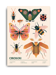 Plakat Chroboki