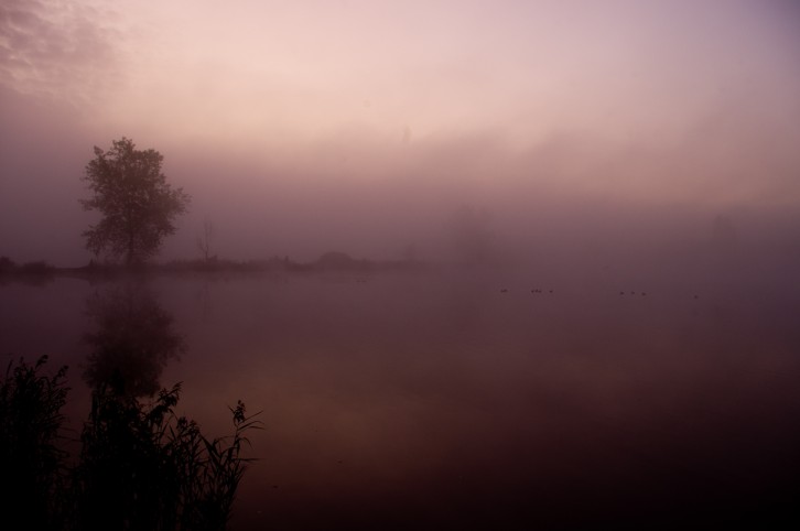 fot. Maciej Koźmiński / 2012