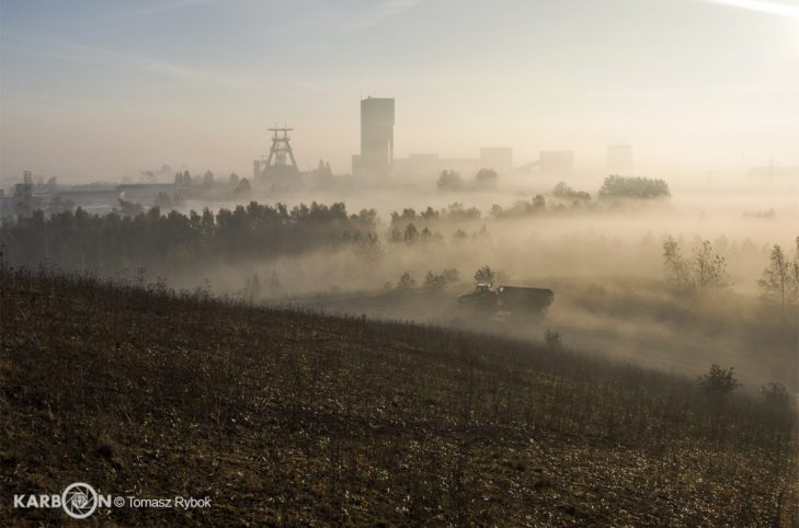 fot. Tomasz Rybok