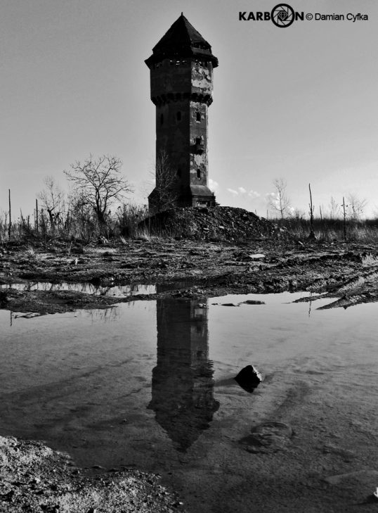 fot. Damian Cyfka