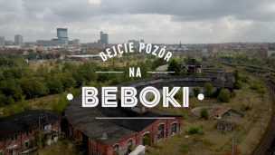 Dejcie pozór na Beboki!